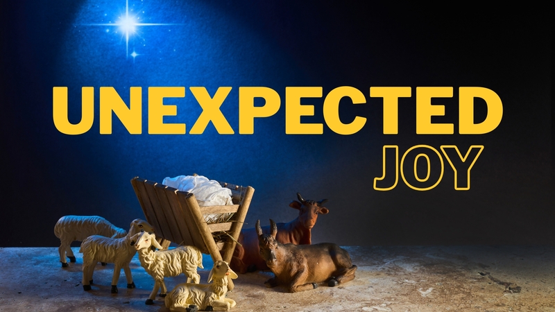 Unexpected Joy