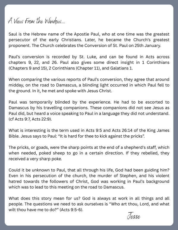 A View from the Window...