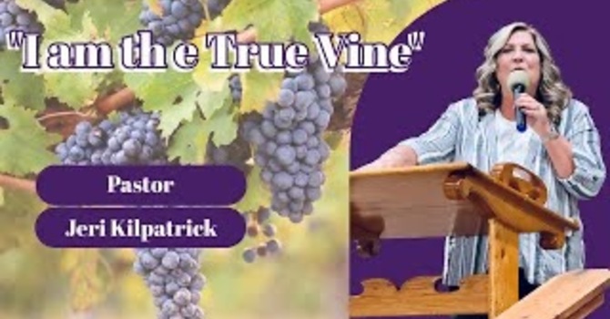I Am the True Vine