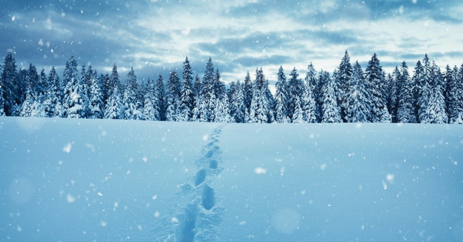 Plans Change, but God Does Not image