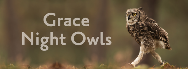 Looking for Grace Night Owls