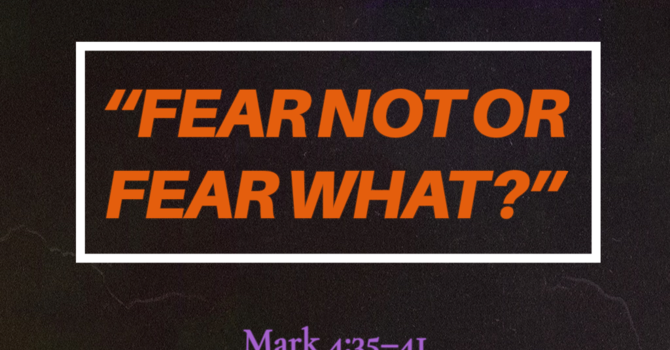 Fear Not, or Fear What?