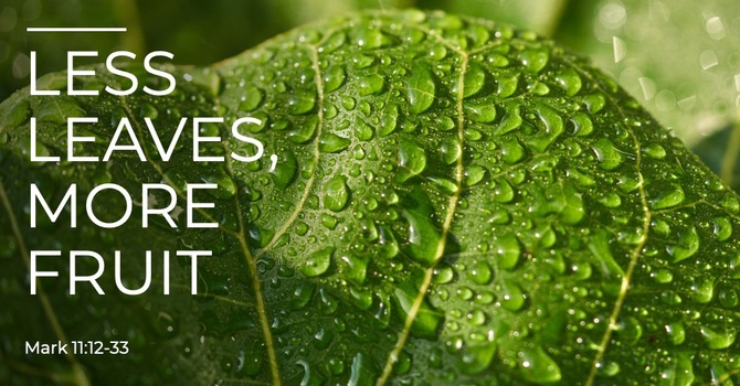 Less Leaves More Fruit