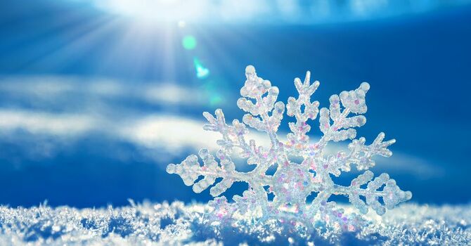 All Sunday Activities cancelled for January 25, 2026