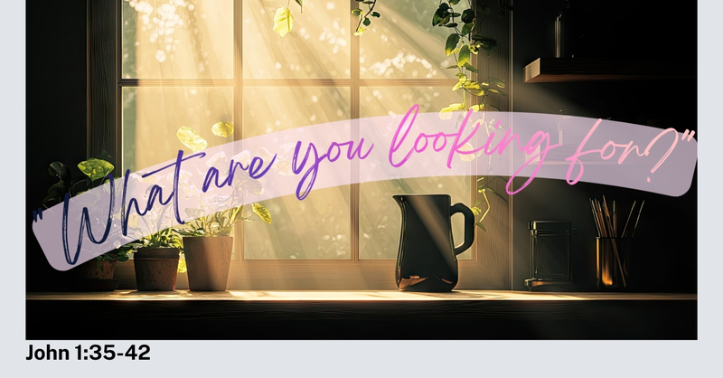 "What are you looking for?"