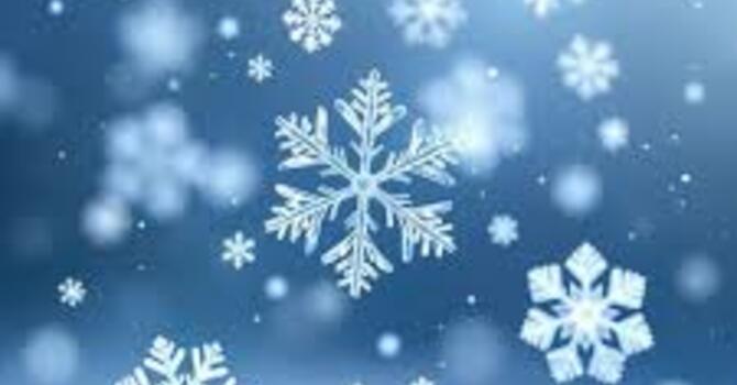 Cancellation of All Services