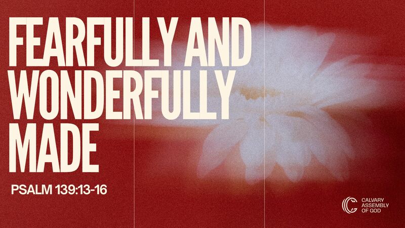 Fearfully and Wonderfully Made