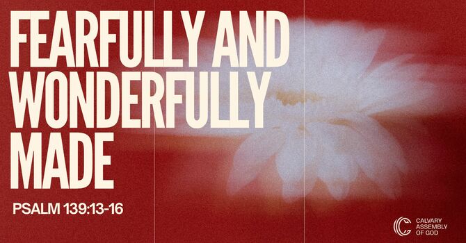 Fearfully and Wonderfully Made