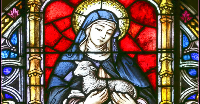 Friday Focus January 23, 2026 image