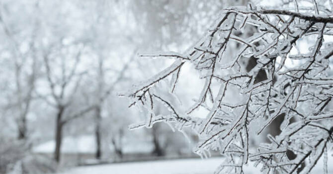 CAFE NIGHT CANCELED: TO BE RESCHEDULED