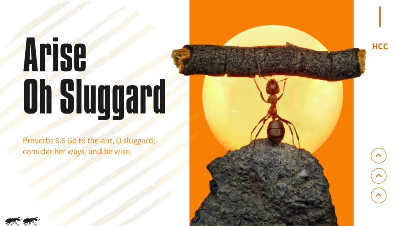 Hopelessness Produces Sluggishness