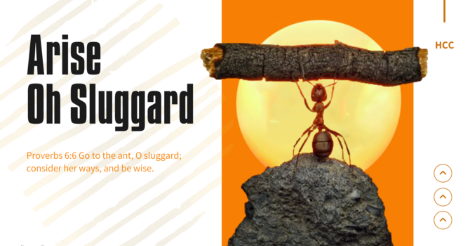 Are You a Slugger or a Sluggard