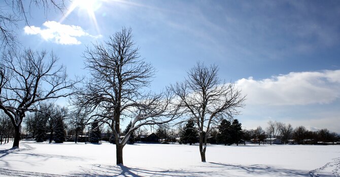 January 23, 2026 Devotion image