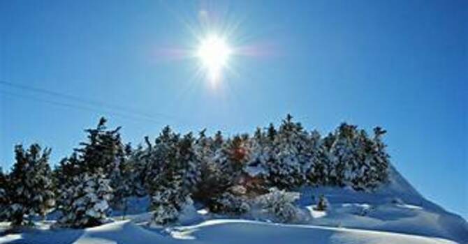 January 26, 2026 Devotion image