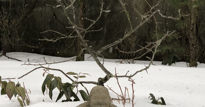 CLOSED Sunday, January 25th image