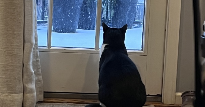 No Children's Church & A Very Scaled Down Service Tomorrow image