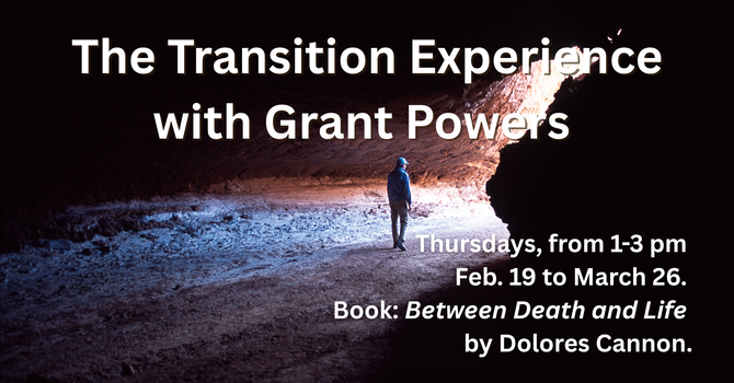 The Transition Experience