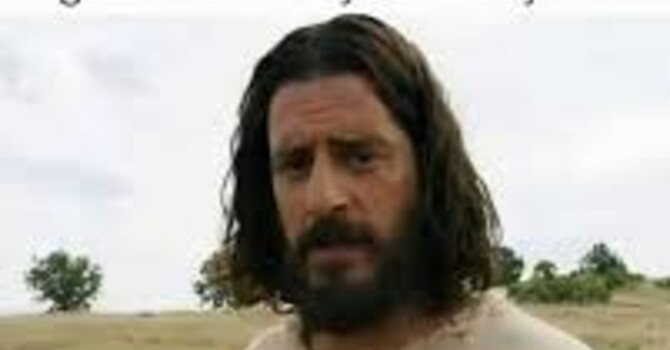 The Snow Day Edition