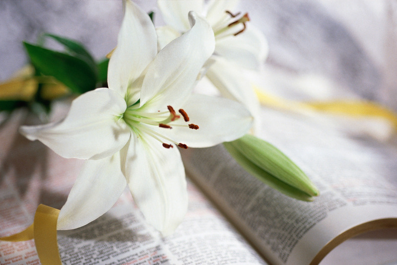 みなイエスを見ておびえてしまった