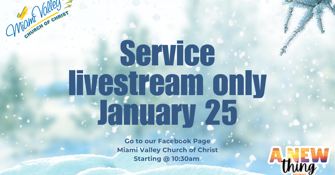 Livestream Service Only 