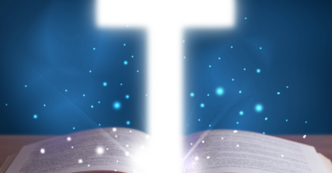 The Ice Shooting of Renee Good image