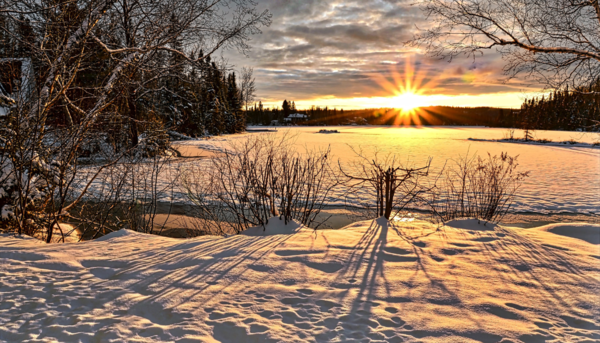 Alternative Service Options