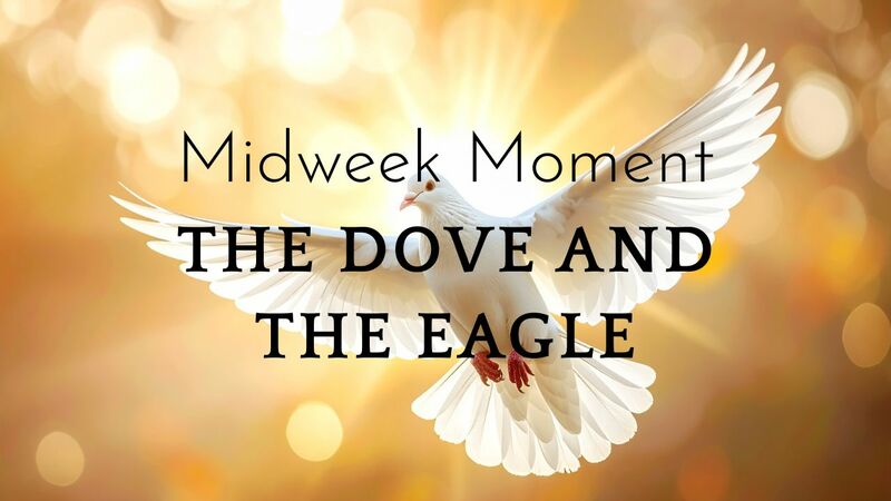 The Dove and the Eagle