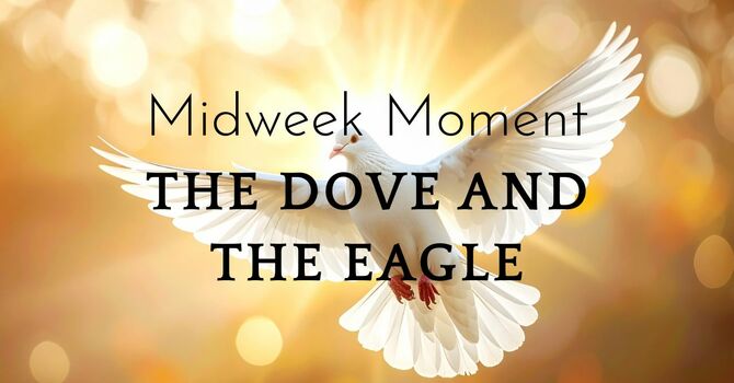 The Dove and the Eagle
