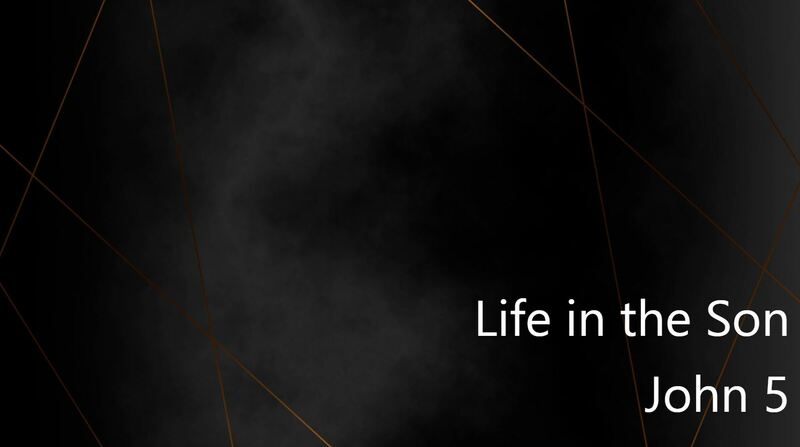 Life in the Son