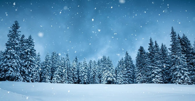 Church closed on Jan.25 & Sunday Worship Service image