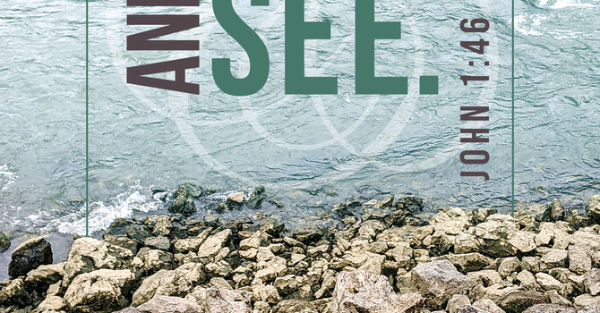 What Are You Looking For?