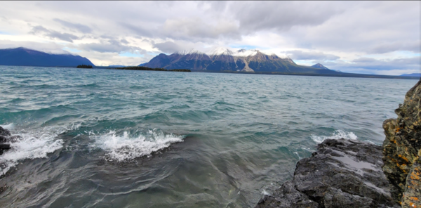 Online meeting transcripts