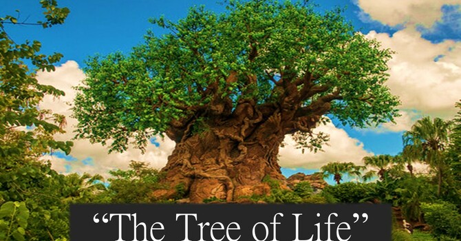 The Tree Of Life