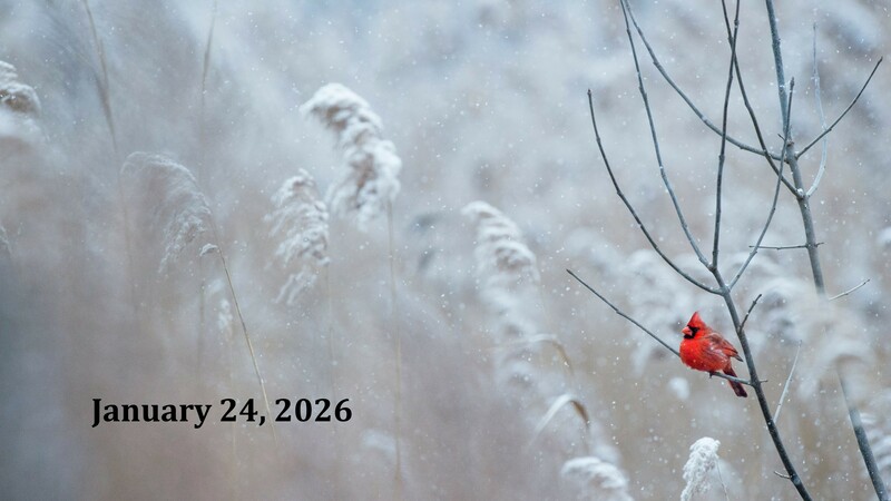 Sermon:  “Grace to Go Fishing”