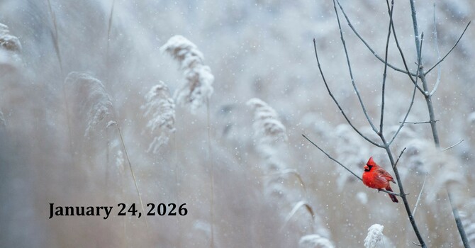 Sermon:  “Grace to Go Fishing”