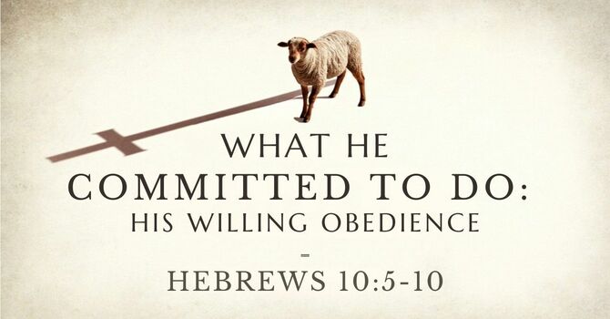 What He Committed to Do