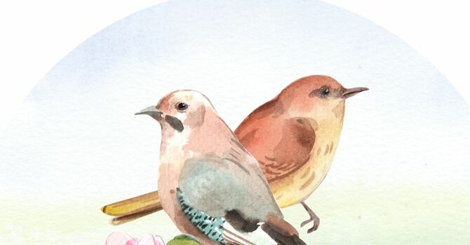 No. 41 - "Keep Silent"