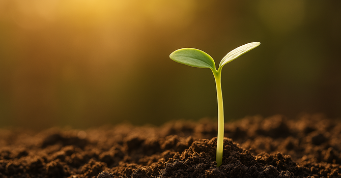 More Than We Can Ask or Imagine: God at Work in Us