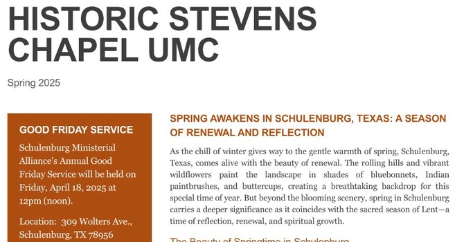 March 2025 - Newsletter image