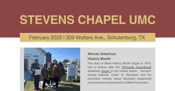 February 2025 - Newsletter image