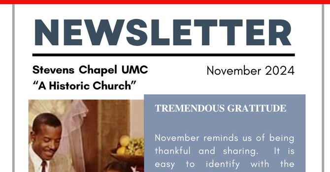November 2024 - Newsletter image