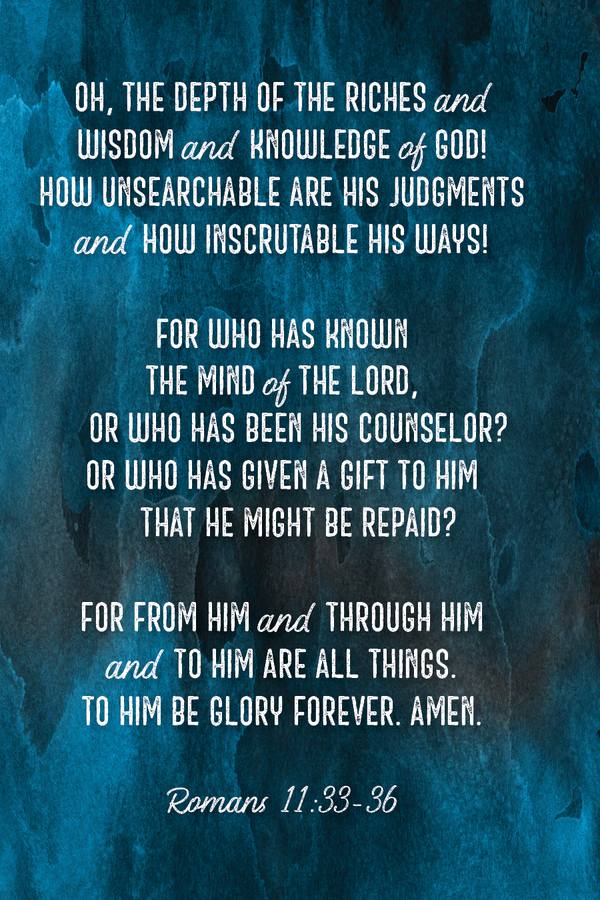 Fighter Verse | January 25, 2026