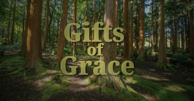 The Relationship of Spiritual Gifts to the Church