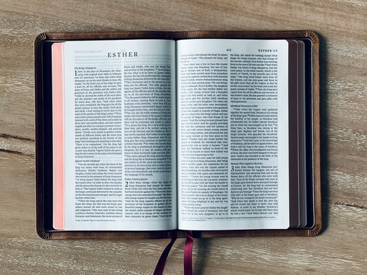 Bible Study - Esther