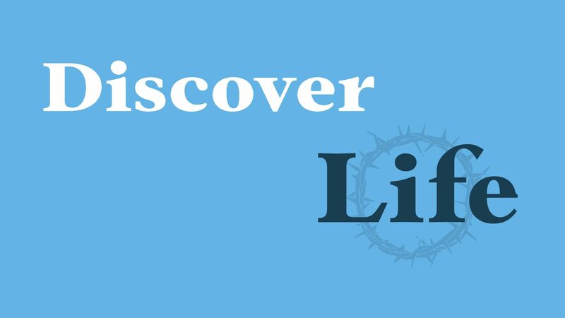 Discover Life