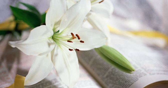 みなイエスを見ておびえてしまった