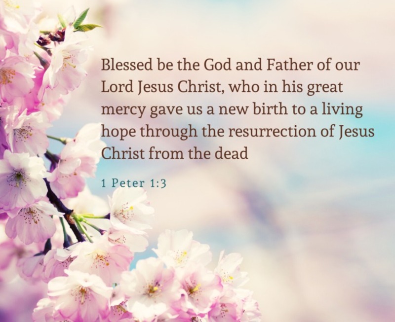 A Living Hope in a Loving God