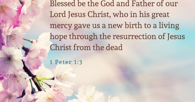 A Living Hope in a Loving God