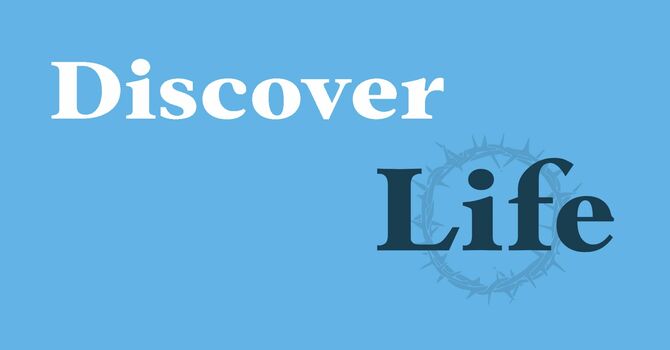 Discover Life