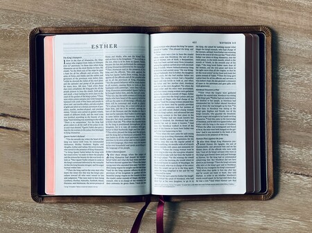 Bible Study - Esther